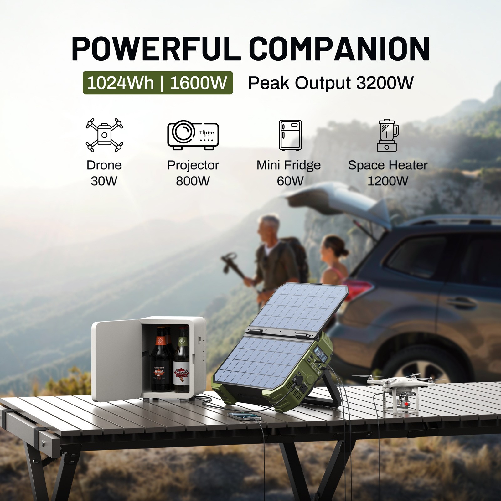 OEM/ODM対応、カスタマイズ可能な1000W高出力太陽光 - Small Appliances のレビューと価格